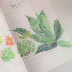 サンプル画像 No.3