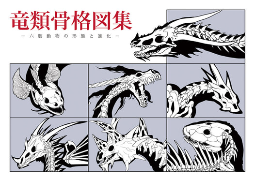 竜類骨格図集
