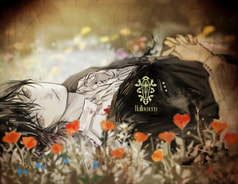 サンプル画像 No.6