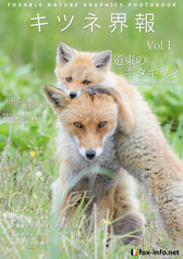 キツネ界報 Vol.1 道東のキタキツネ