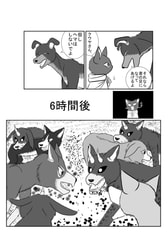 サンプル画像 No.2