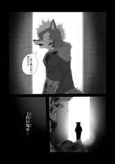 Sample No.5