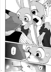 サンプル画像 No.5