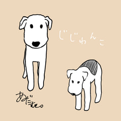 じじわんこメガネ拭き