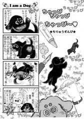 サンプル画像 No.2