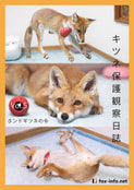 「キツネ写真集」キツネ保護観察日誌 Vol.5 -ホンドギツネの令-