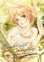 Sugar Rabbit Carameliser