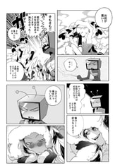 サンプル画像 No.3