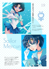Sample No.4