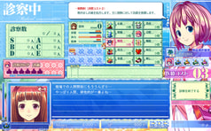 サンプル画像 No.2