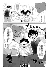 Sample No.5