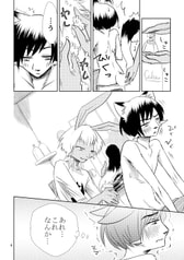 サンプル画像 No.3