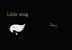 Little wing
