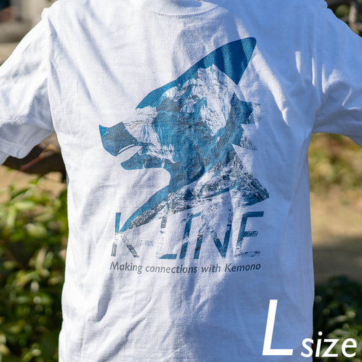 K-LINE T-shirt 2019 (L size)