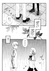 Sample No.4