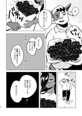 サンプル画像 No.4