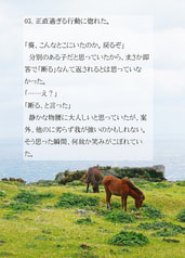 サンプル画像 No.3