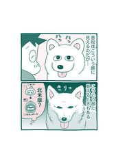 サンプル画像 No.2