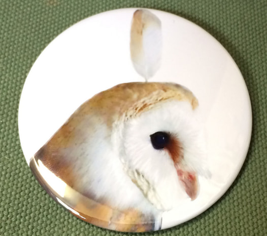 メンフクロウ76ｍｍ缶バッジ