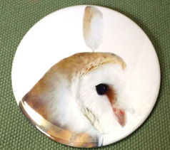 メンフクロウ76ｍｍ缶バッジ