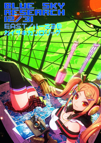 BLUE SKY RESEARCH