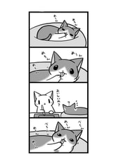 サンプル画像 No.2
