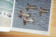 サンプル画像 No.5