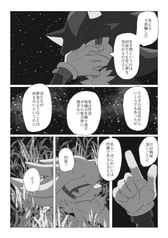 Sample No.4