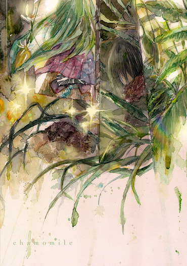 chamomile