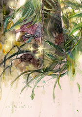 chamomile