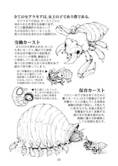 サンプル画像 No.4