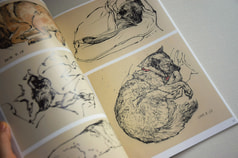 サンプル画像 No.5