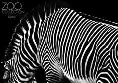 ZOO COLLECTION