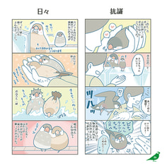 サンプル画像 No.1