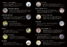 サンプル画像 No.4