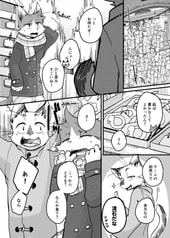 Sample No.4
