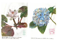 サンプル画像 No.4