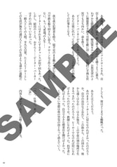 サンプル画像 No.5