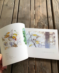 サンプル画像 No.3