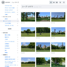 Sample No.4