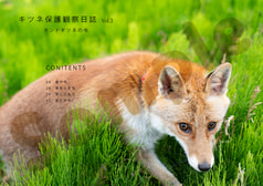 サンプル画像 No.1