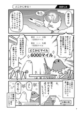 サンプル画像 No.1