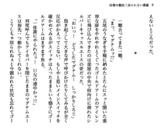 サンプル画像 No.5