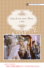 サンプル画像 No.2