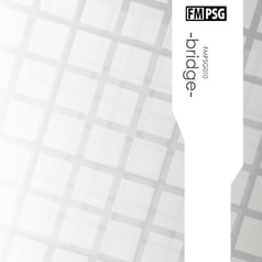【ケース破損有】FMPSG010 -bridge-