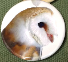 メンフクロウ44ｍｍ缶バッジ
