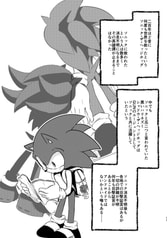 サンプル画像 No.6