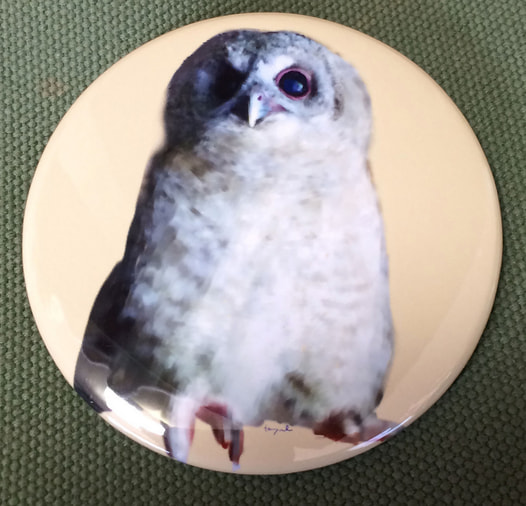 モリフクロウ76ｍｍ缶バッジ