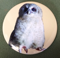 モリフクロウ76ｍｍ缶バッジ