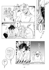 サンプル画像 No.5